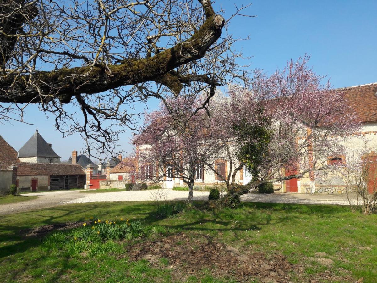 gîte du château La Bussière Extérieur photo